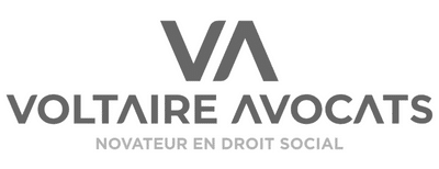 logo voltaire2023
